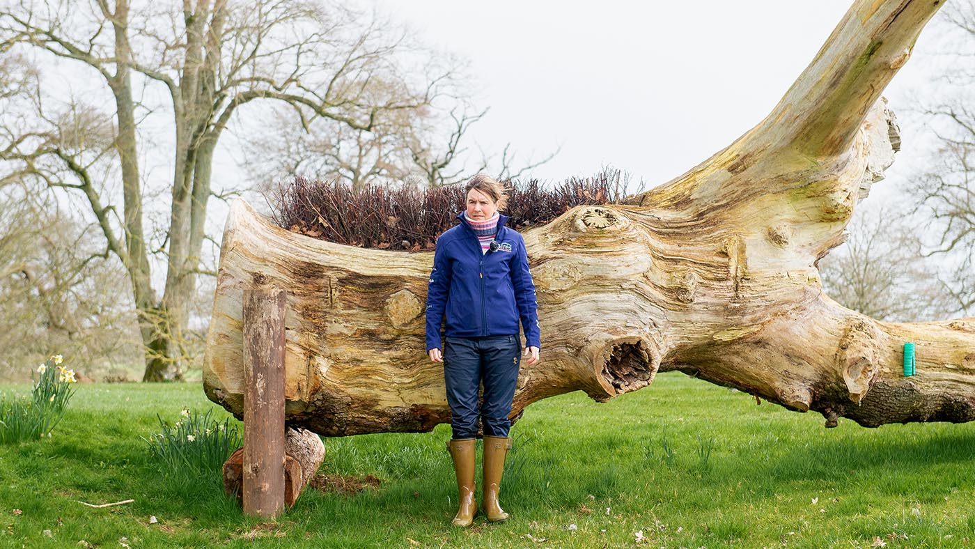Badminton Horse Trials cross-country course 2023: fence 10