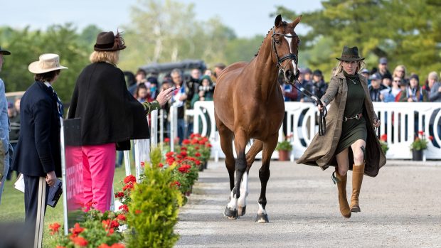 Kentucky Three-Day Event final trot-up: Liz Halliday-Sharp and Deniro Z
