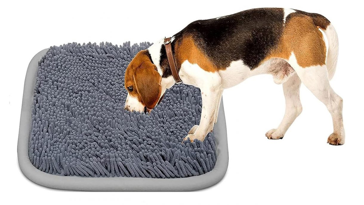 Best snuffle mats for dogs to encourage natural foraging instincts