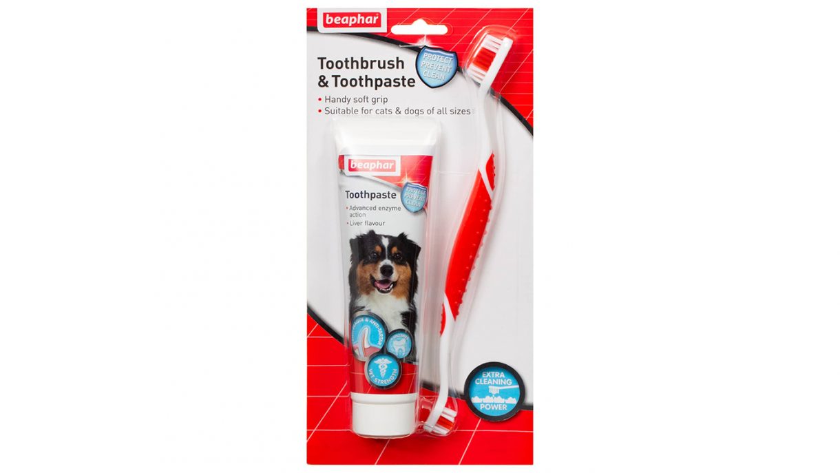 Best toothbrush for dogs to support daily oral hygiene