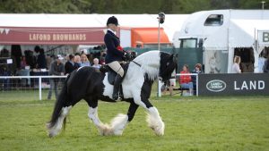 Vikki Smith is judging the ridden coloured classes at Royal Windsor 2023