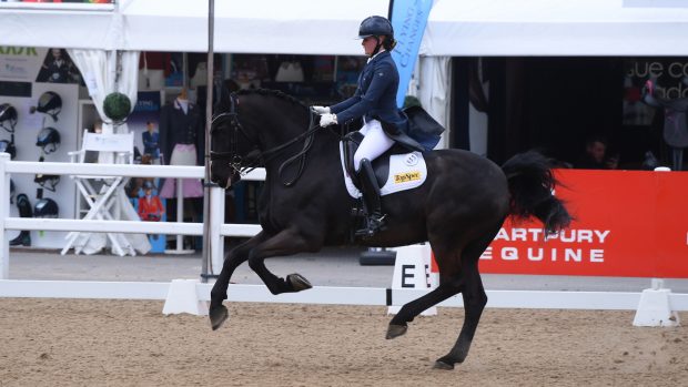 Winter Dressage Championships Friesian Tsjebe Fan ’E Vesta Hoeve