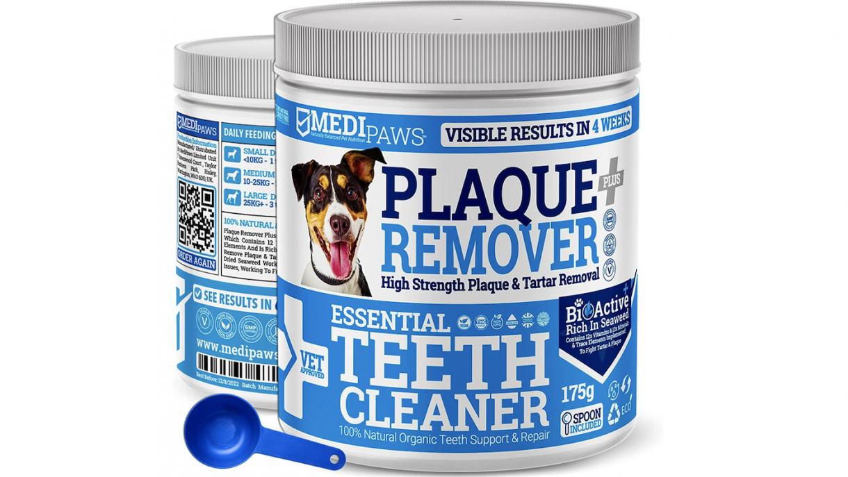 Best toothpastes for dogs to prevent tooth and gum disease