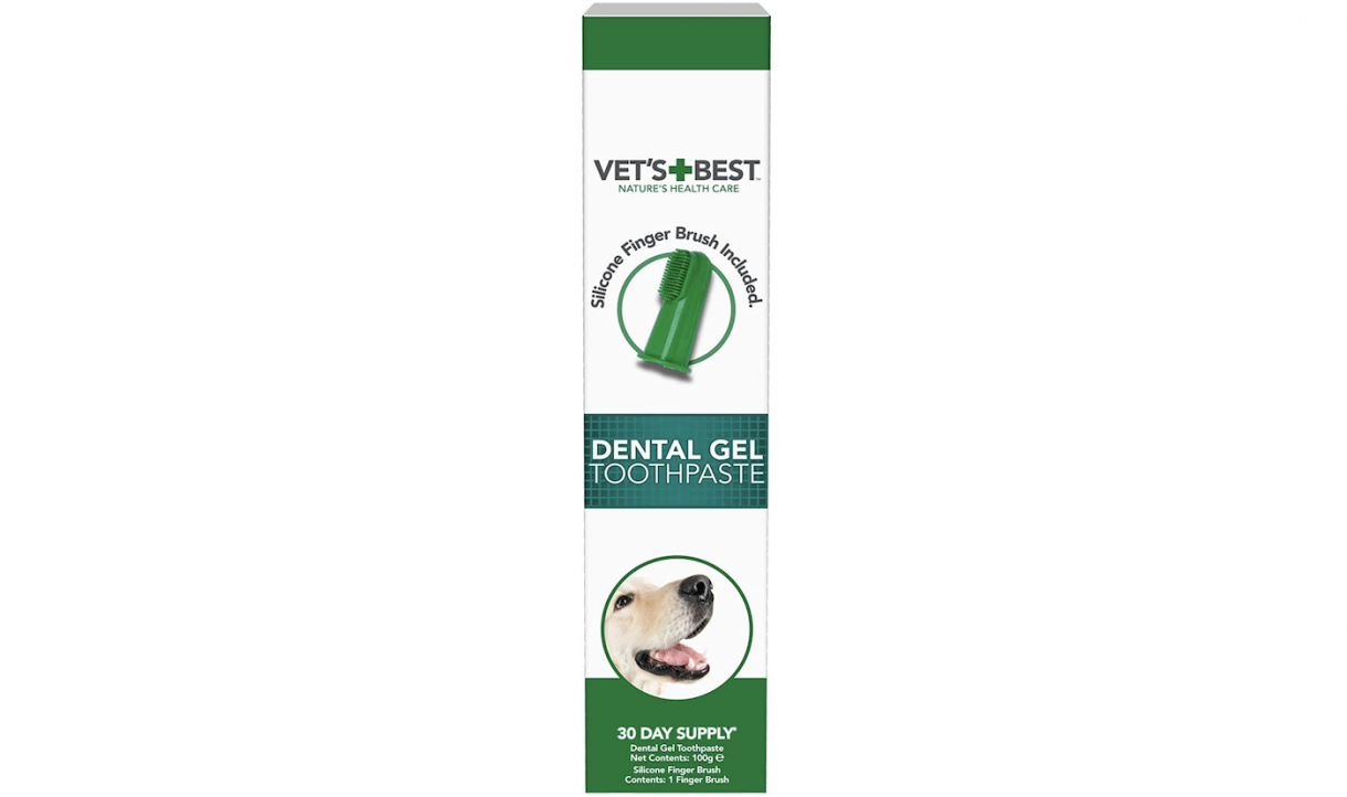 Best toothpastes for dogs to prevent tooth and gum disease