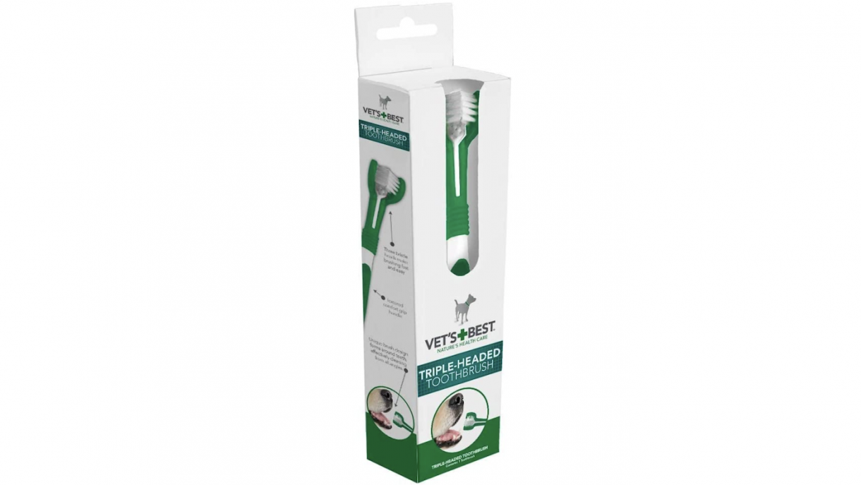 Best toothbrush for dogs to support daily oral hygiene