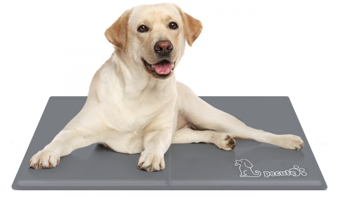 Best dog cooling mat to help your dog regulate his temperature on hot days