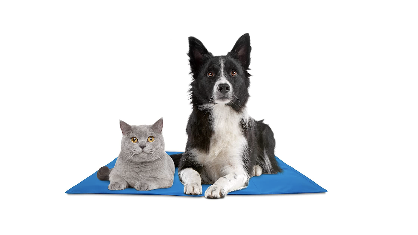 Dog and cat sitting together on a cooling mat