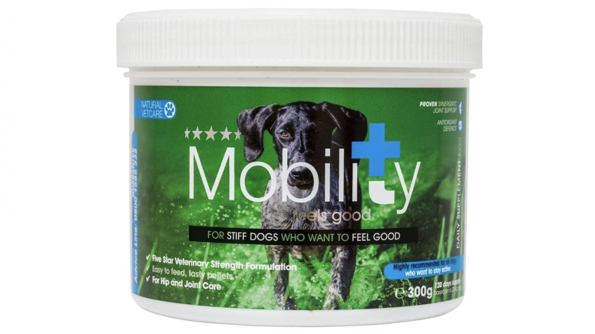 Best joint supplement for dogs the key ingredients that ward off stiffness