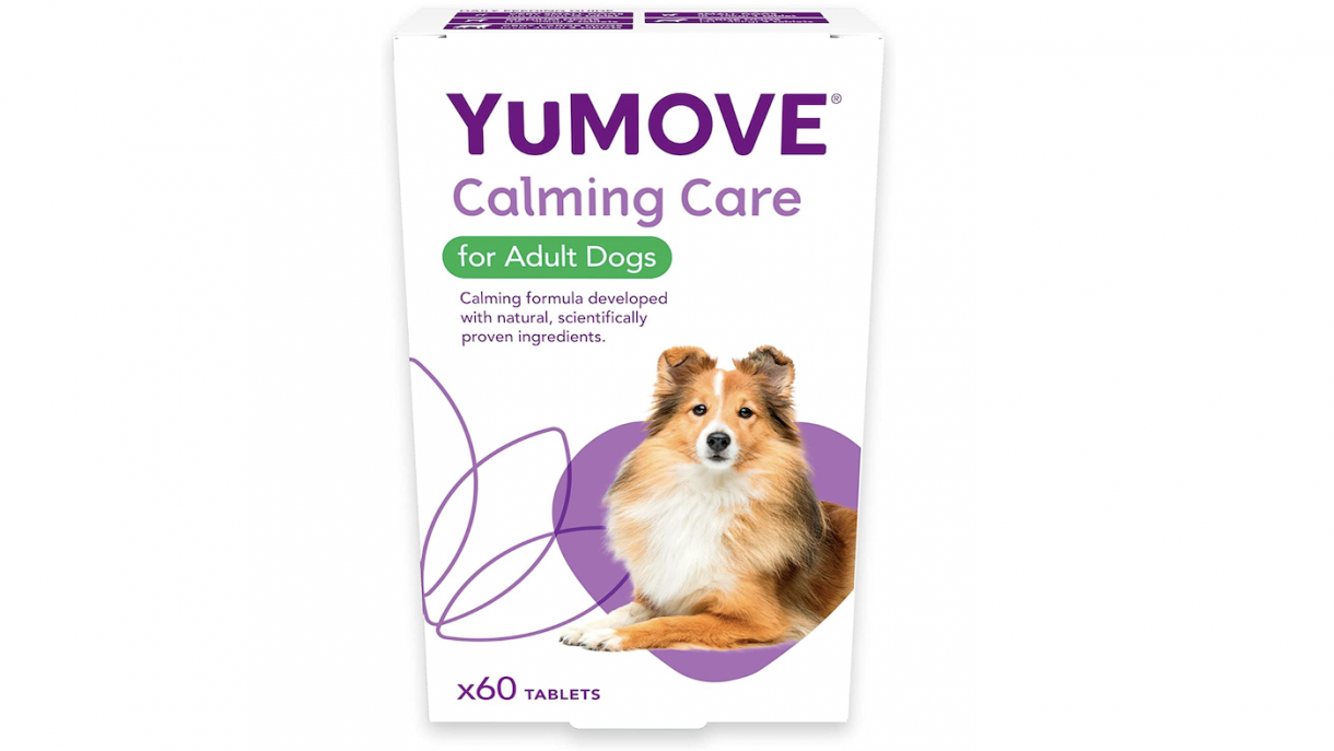 Best calming tablets for dogs to soothe and relax anxious pooches