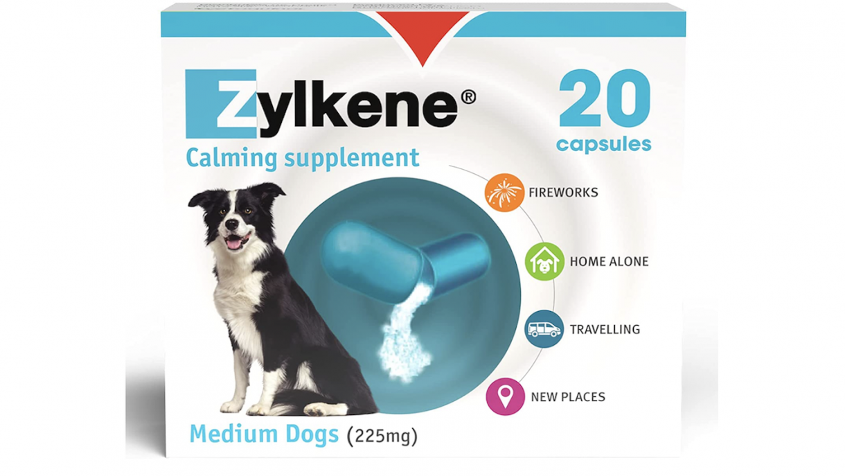 Best calming tablets for dogs to soothe and relax anxious pooches