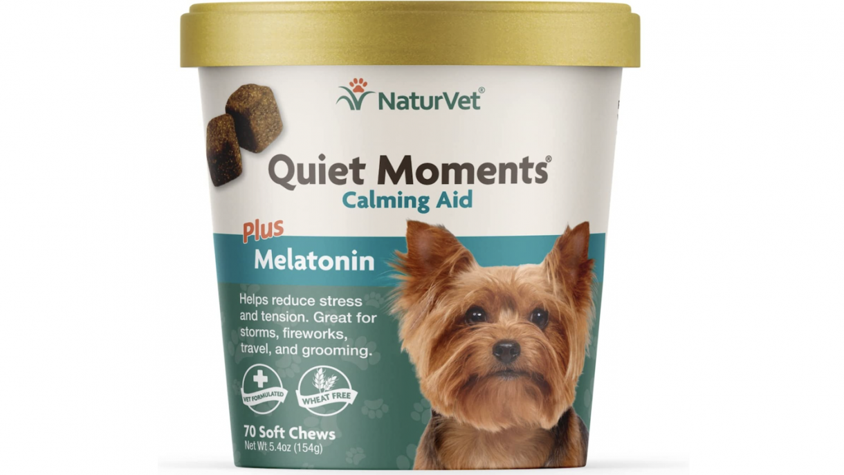 Best calming tablets for dogs to soothe and relax anxious pooches