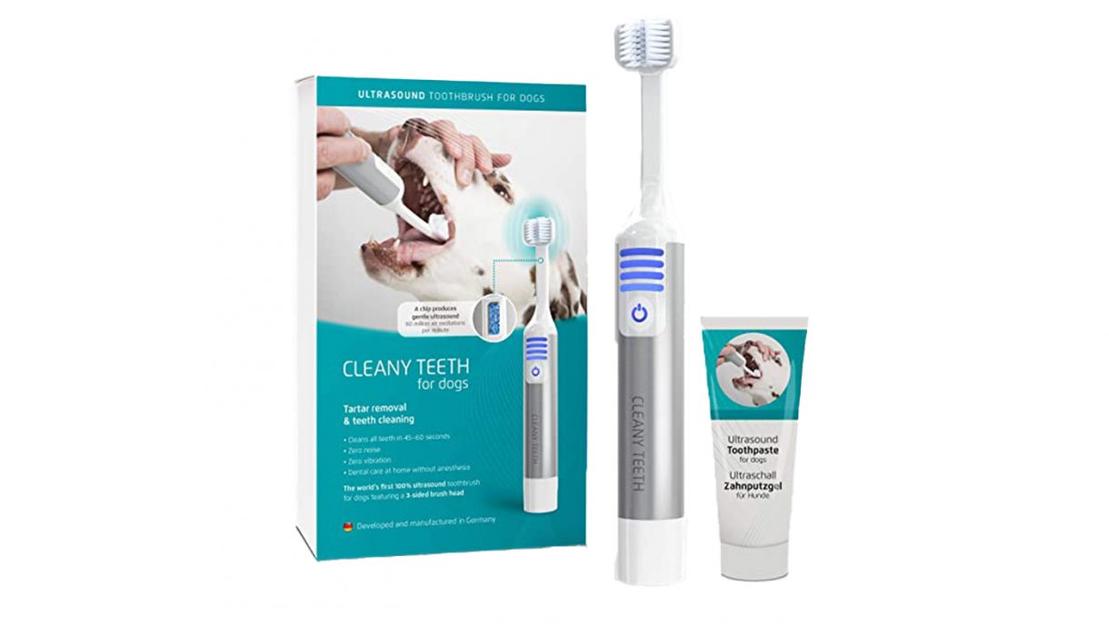 Best toothbrush for dogs to support daily oral hygiene