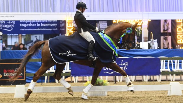 Margaret Jones and Dimagic at the Winter Dressage Championships 2023