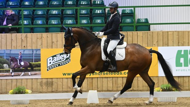Dannie Morgan and Fever Tree at the Winter Dressage Championships 2023