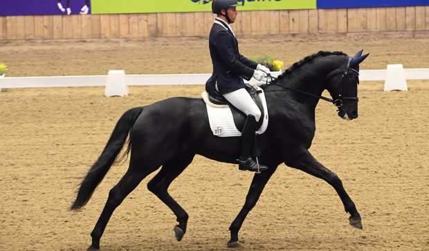 Henry Boswell and Belinski at the Winter Dressage Championships 2023