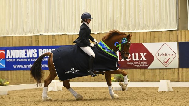 Llanarth Magestic and Sophie Lawson at the Winter Dressage Championships 2023
