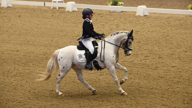 Winter Dressage Championships: Sophie Mansell and Bravo Freckles