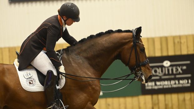 Winter Dressage Championships: Becky Moody and Jack Diamond