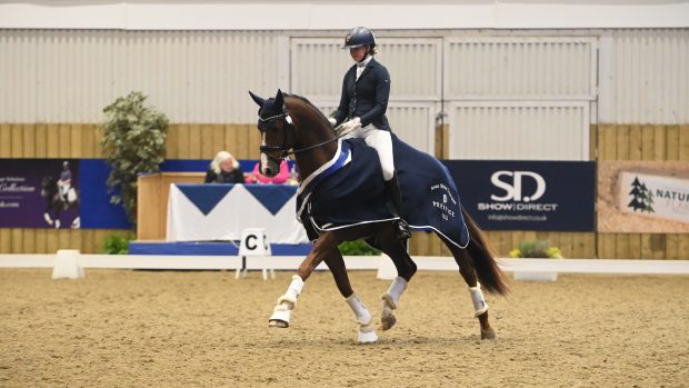 Winter Dressage Championships: Fire Kracka