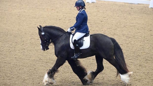 Diane Grinyer and Jack In A Box at the Winter Dressage Championships 2023