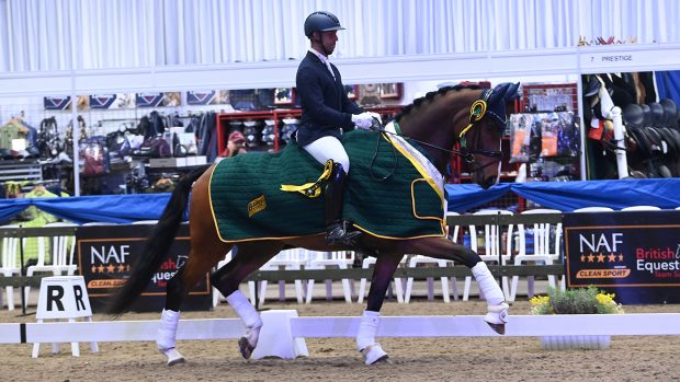 Dannie Morgan and Fever Tree at the Winter Dressage Championships 2023