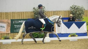 Slieve Rushen Frank at the Winter Dressage Championships