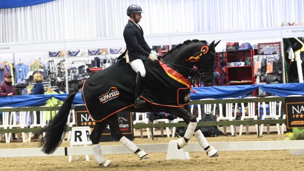 Winter Dressage Championships: Davy Harvey