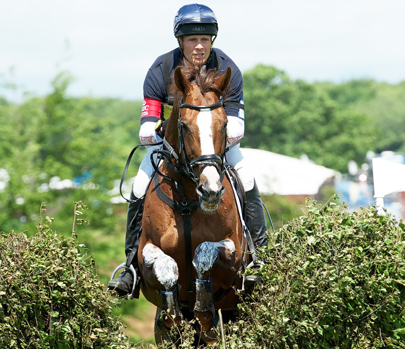 William Fox-Pitt on Chilli Morning