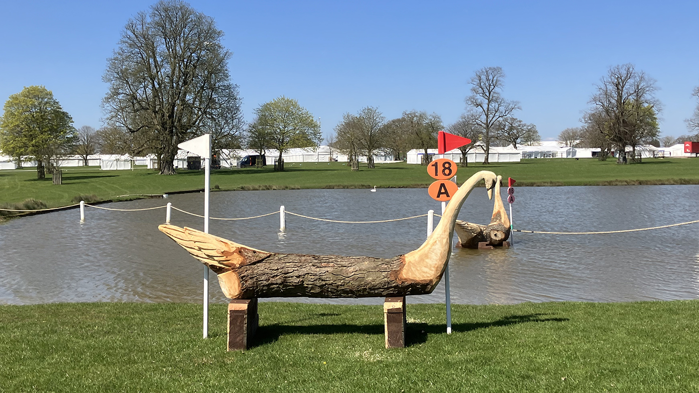 The BE90 swan into the Badminton Lake