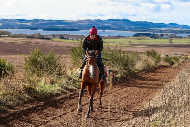 Meet the Grand National favourite Corach Rambler