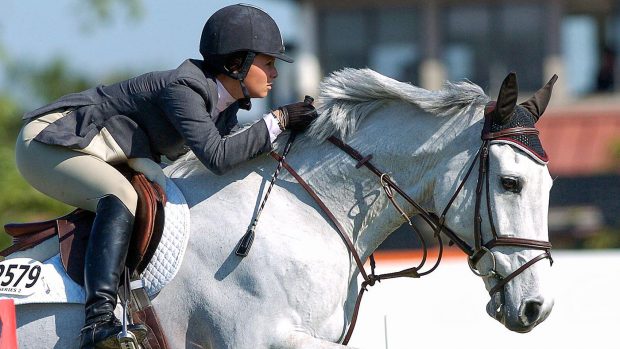 Rider jumping grey horse wearing a running martingale