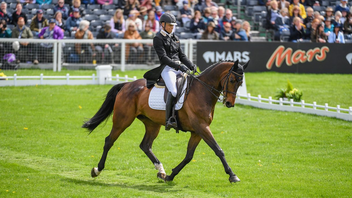 Badminton Horse Trials dressage Tom Rowland enjoys the rain for top 10
