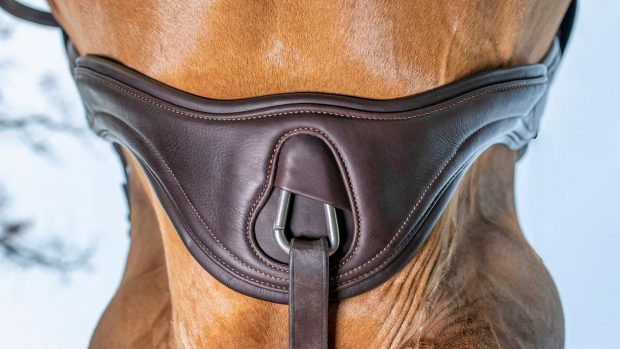 Anatomical girth from below