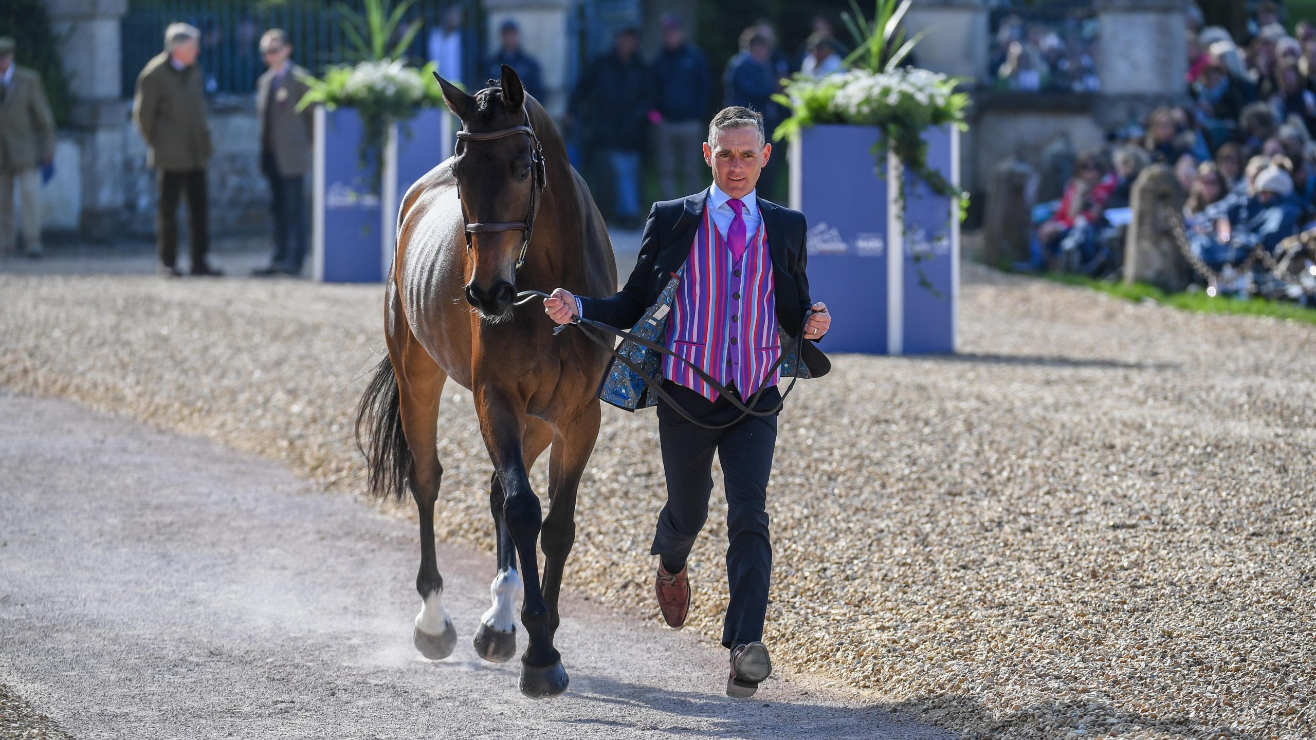 badminton horse trials trot-up