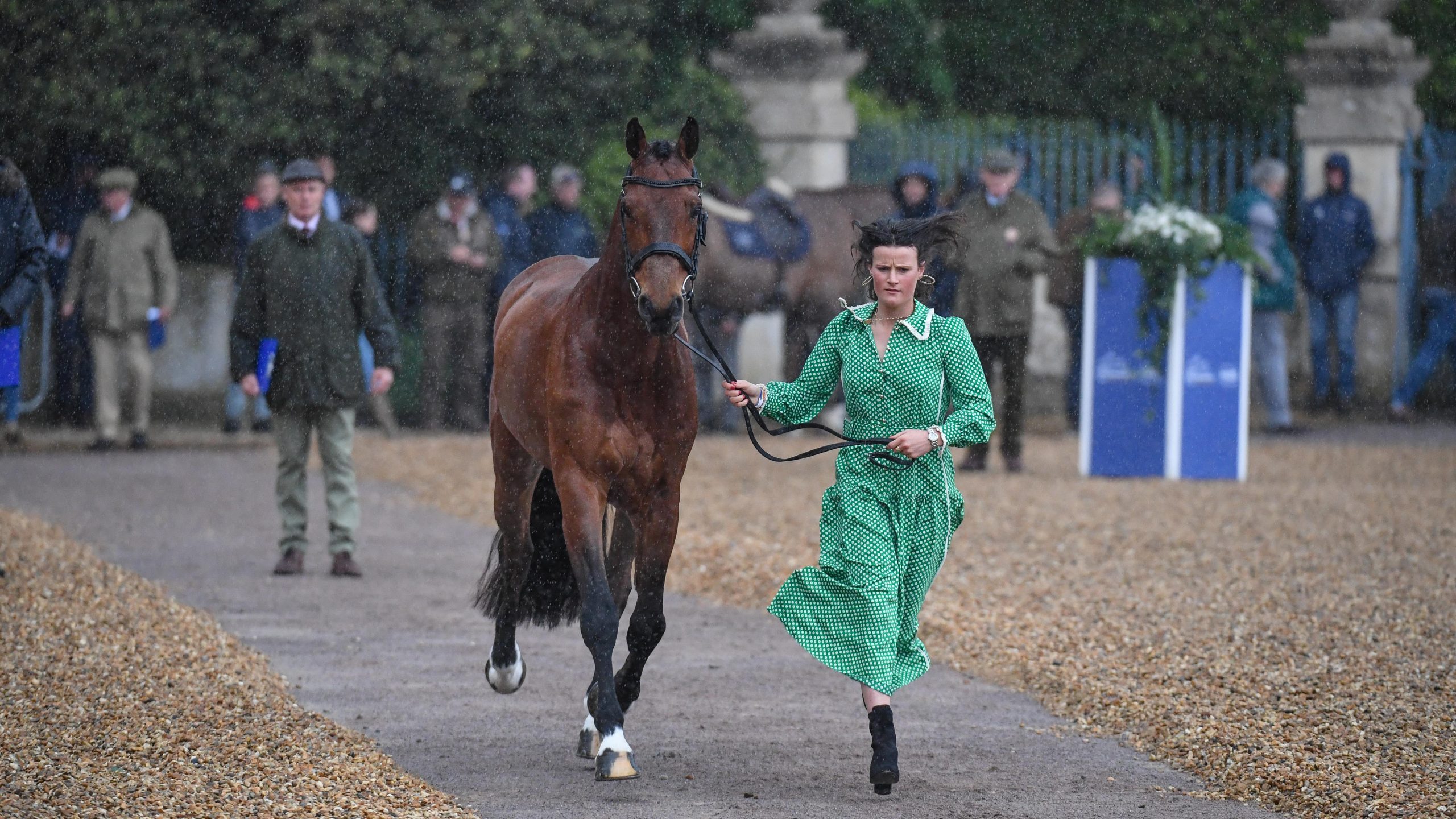 Badminton horse trials trot-up