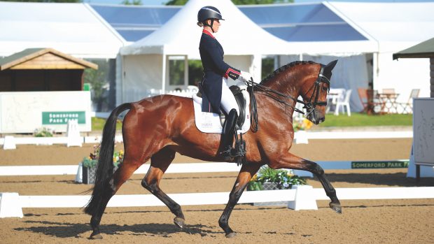 Day by day debrief – Horse & Hound