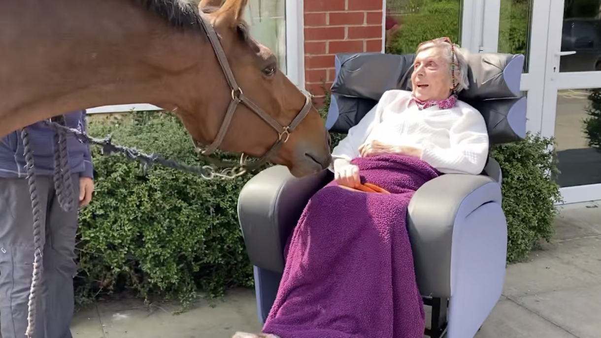 Joy and carrots as event horse reunited with his 91yearold owner/breeder Horse & Hound