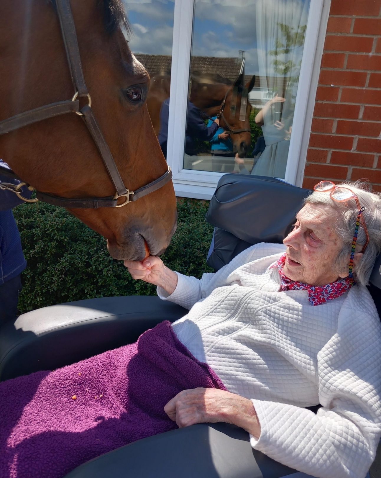 Joy and carrots as event horse reunited with his 91yearold owner/breeder Horse & Hound