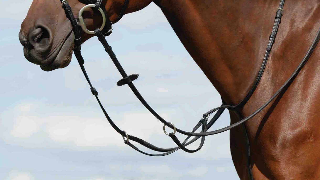 Best martingales for horses and how to fit them Horse & Hound