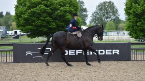 Francoise Babbington’s Seabourne Silent Valley nets the Royal Windsor ladies' hunter class