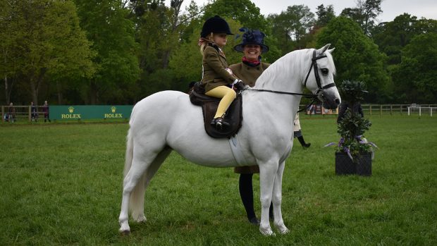 Royal Windsor Pretty Polly M&M