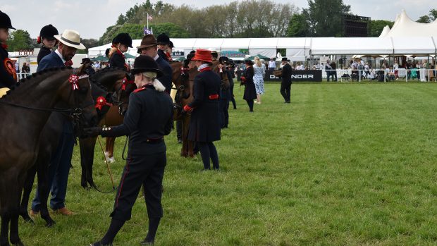 showing society membership — which one to apply for in 2024