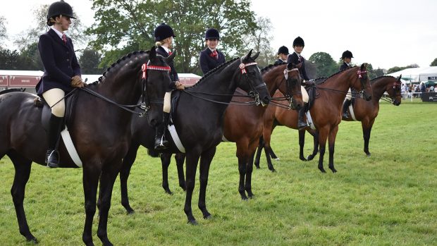 SHOWING LINE-UP STOCK