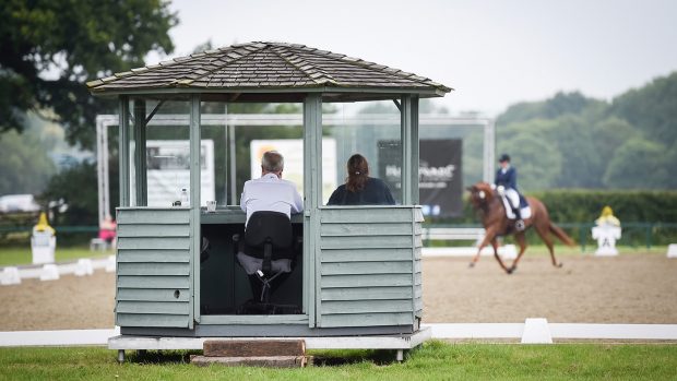 British Dressage elections sport operations director