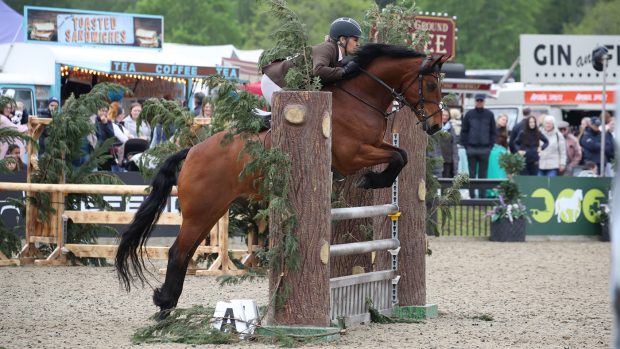 Royal Windsor M&M working hunter pony