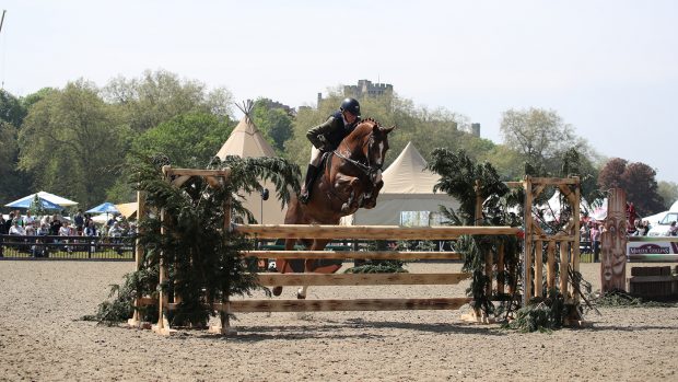 Royal Windsor working hunter pony championship,