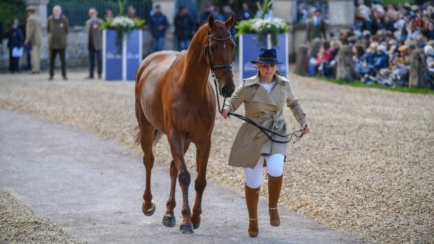 Gemma Stevens and Jalapeno