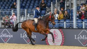 Royal Windsor hunter championship