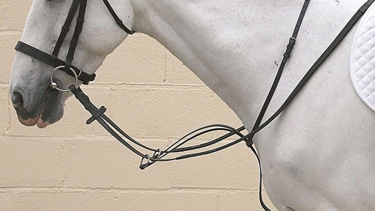 Best martingales for horses and how to fit them Horse & Hound