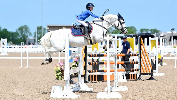 Day by day debrief – Horse & Hound